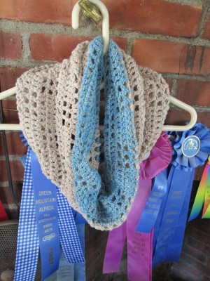 Cozy Cowl 2
