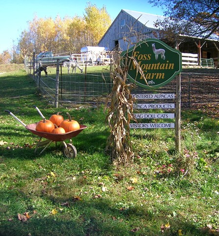 Pumpkins_sign_www