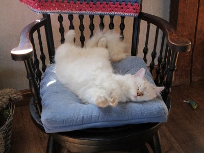 Doing 'the flop'